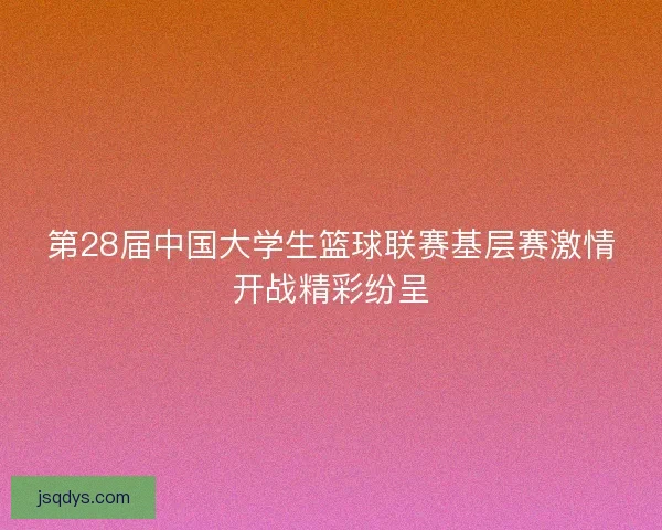 第28届中国大学生篮球联赛基层赛激情开战精彩纷呈